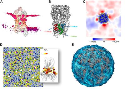 A brief history of visualizing membrane systems in molecular dynamics simulations